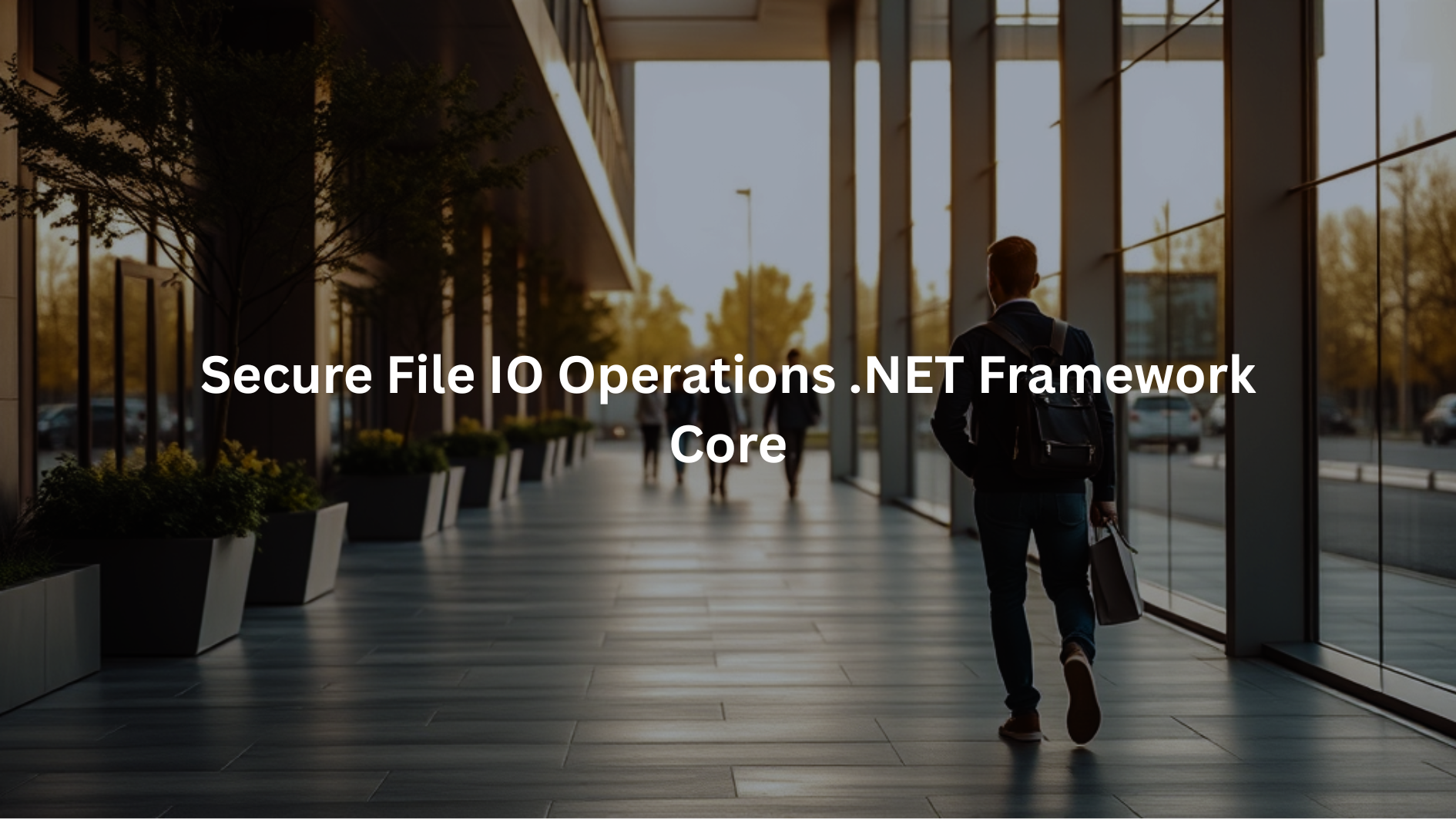 Secure File IO Operations .NET Framework Core